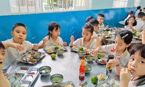 Hà Nội giao xã, phường lựa chọn đơn vị cung cấp thực phẩm cho bếp ăn bán trú
