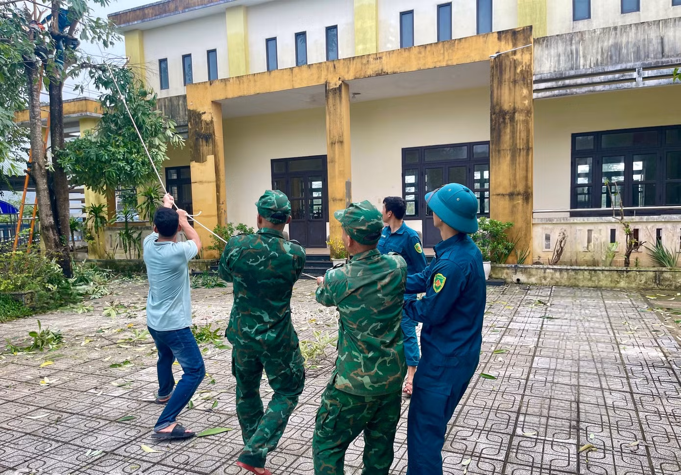 bodoibienphong2.jpg