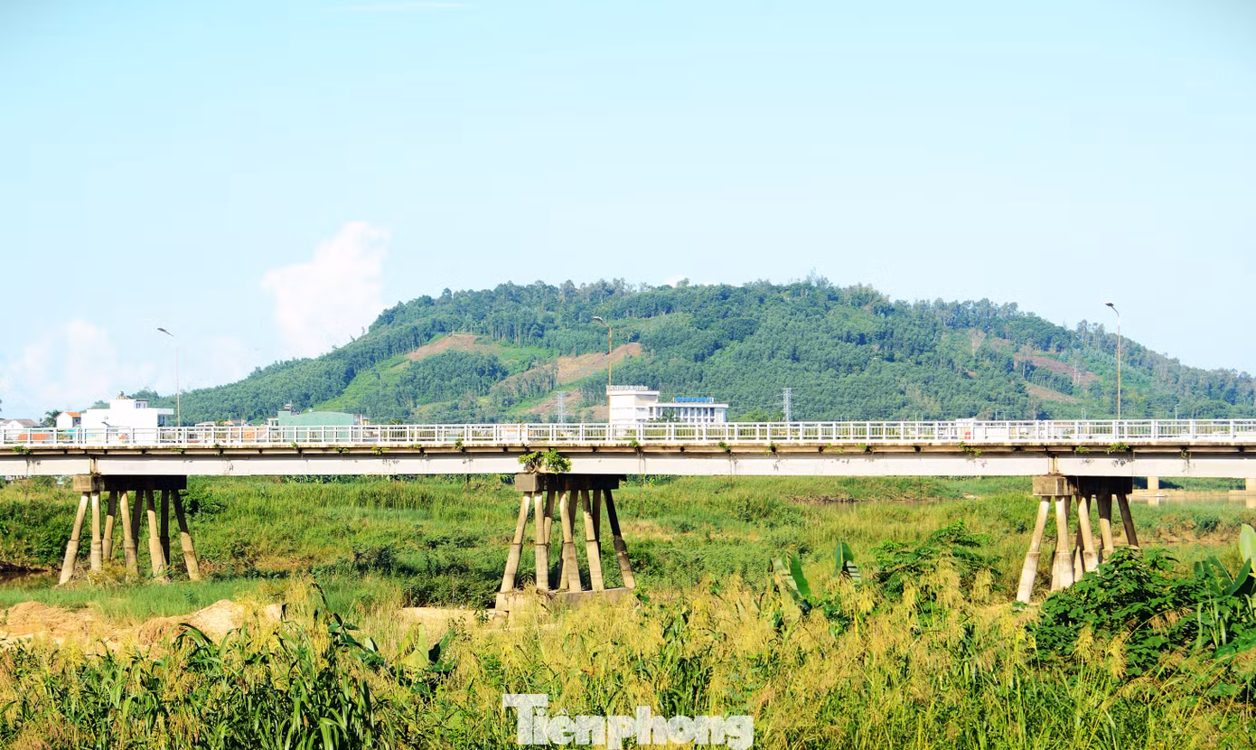 tp-c_dsc-2203.jpg