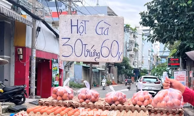 Trứng gà giá rẻ len lỏi đến tận nhà