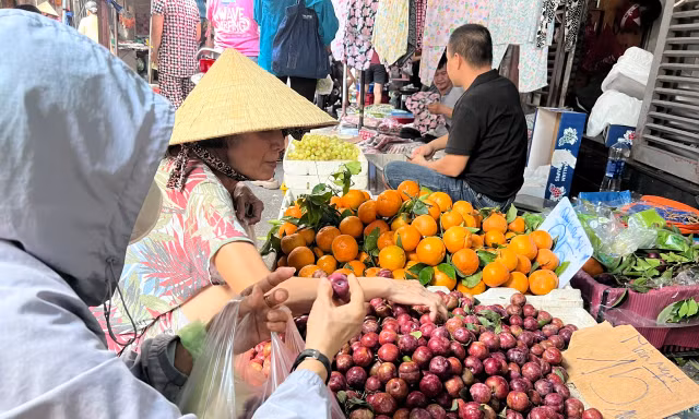 Mận hậu đại hạ giá vẫn thưa khách ở TPHCM 