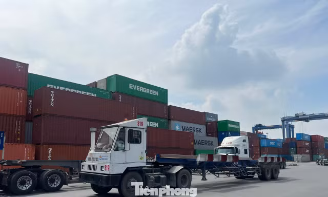 1.200 container hàng hóa ùn ứ tại cảng Cát Lái