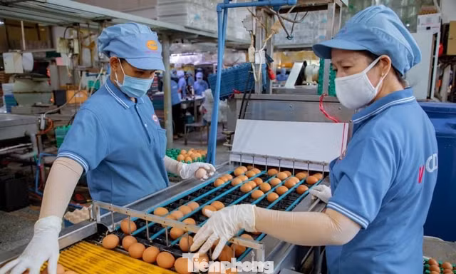 Mặc dù có nhiều tín hiệu tích cực nhưng những rủi ro, khó khăn vẫn bủa vây doanh nghiệp trong giai đoạn phục hồi