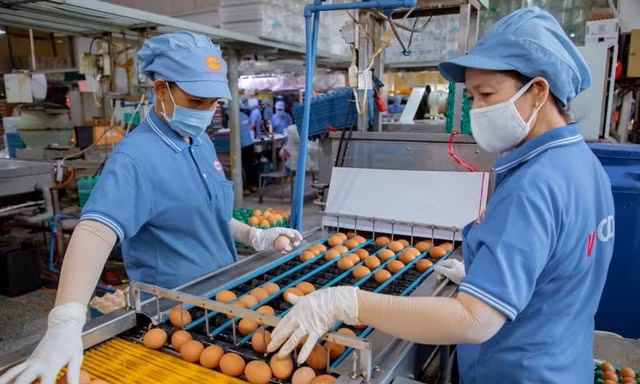‘Nghẹt thở’ vay vốn ngân hàng 