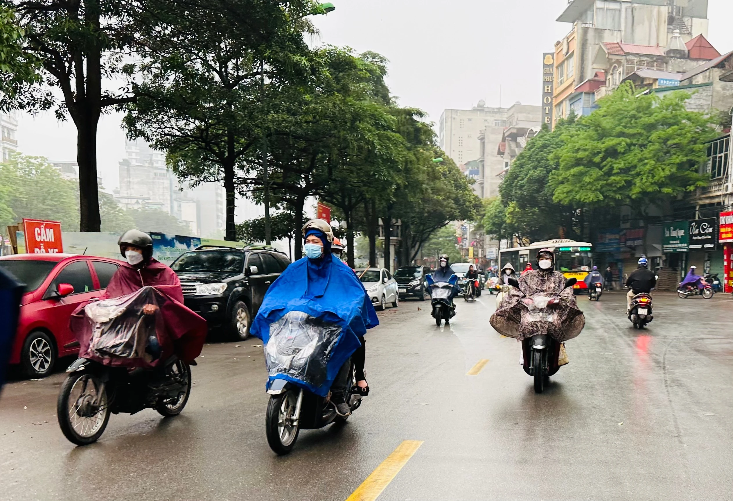 Dự báo thời tiết Tết Giáp Thìn: Miền Bắc mưa phùn, rét đậm sau mùng 5
