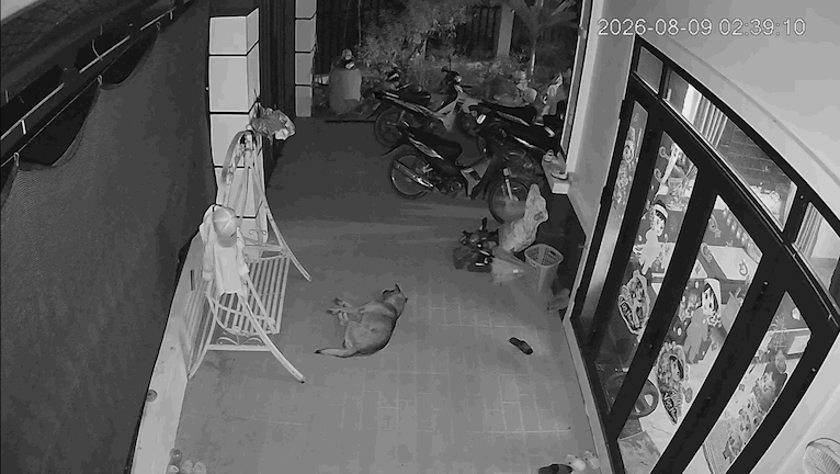 Vì sao Cao Bằng liên tiếp hứng chịu động đất?