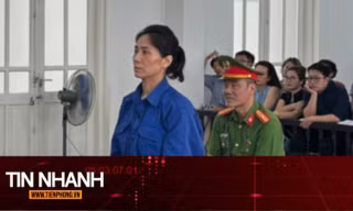 TIN NHANH: Lý do phiên tòa xét xử nữ giám đốc show 'Về đây bốn cánh chim trời' tạm hoãn