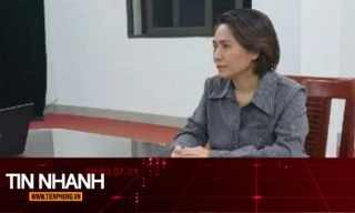 TIN NHANH: Nhà sản xuất 'Về đây bốn cánh chim trời' đối mặt với hình thức xử lý nào?