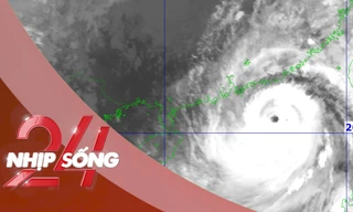 NHỊP SỐNG 24: Toàn cảnh diễn biến bão số 9 Ragasa, nhận định vùng tâm điểm đổ bộ đất liền
