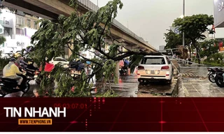 TIN NHANH: Vì sao dông lốc đôi khi nguy hiểm hơn cả bão?