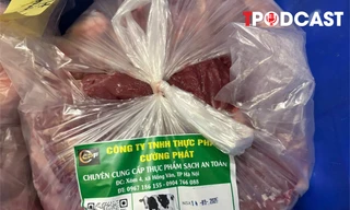 NÓNG 1/4: Vụ tiêu thụ gần 300 tấn thịt lợn nhiễm bệnh: Phụ huynh phát hoảng, các trường yêu cầu 'khẩn'