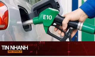 TIN NHANH: Hôm nay bán xăng E10 ở 3 thành phố: Tiết lộ chi tiết quyết định tuổi thọ động cơ xe