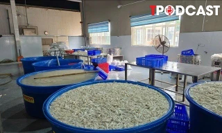 NÓNG 14/7: Phát hiện hơn 13 tấn chân gà ngâm hóa chất tẩy trắng