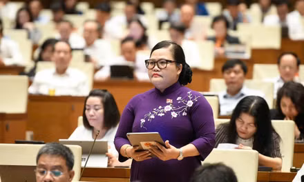Đại biểu Quốc hội: 'Phân quyền nhưng không buông quyền kiểm soát'