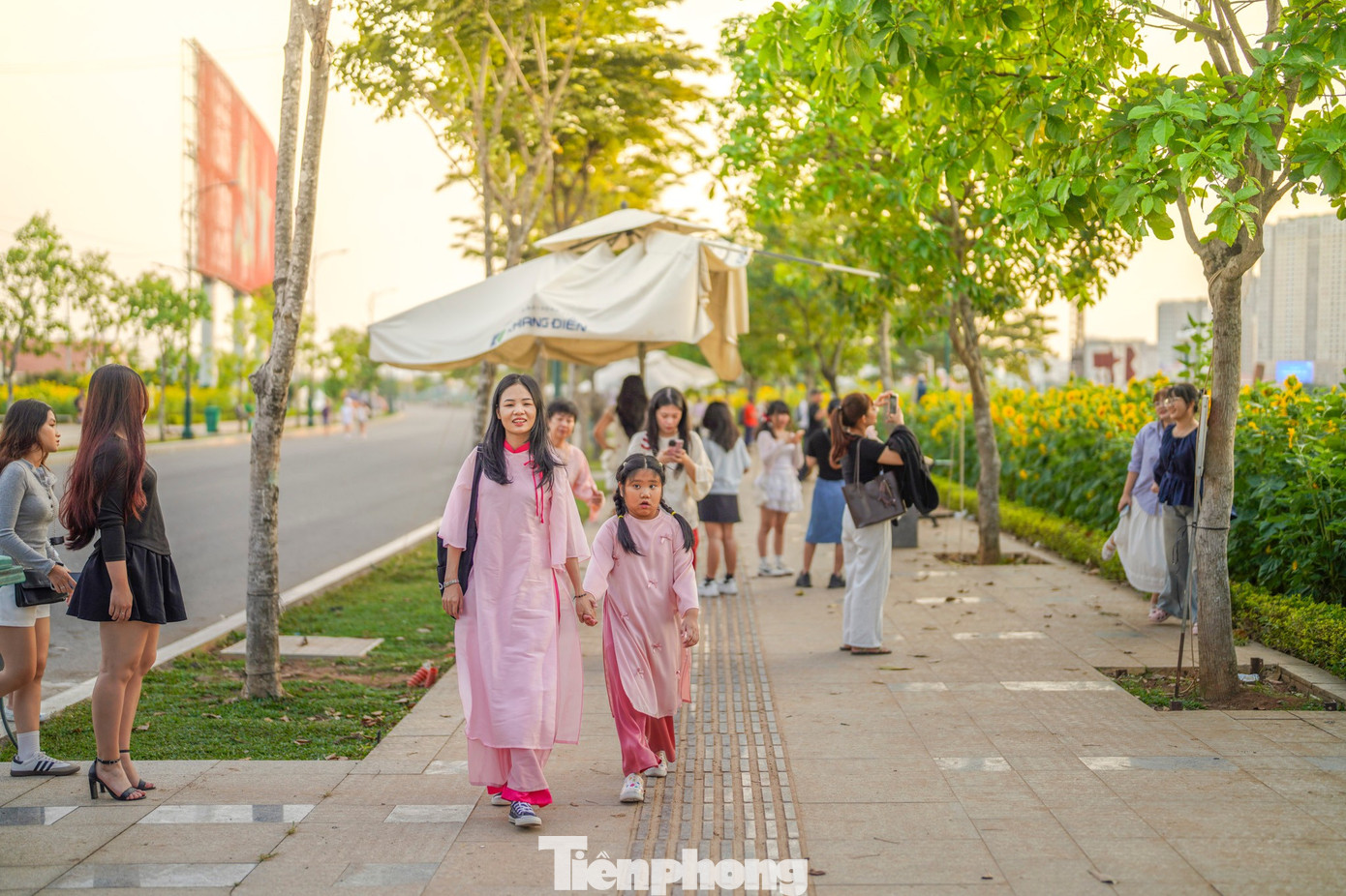 Mãn nhãn vườn hướng dương nghìn bông khoe sắc bên bờ sông Sài Gòn- Ảnh 17.