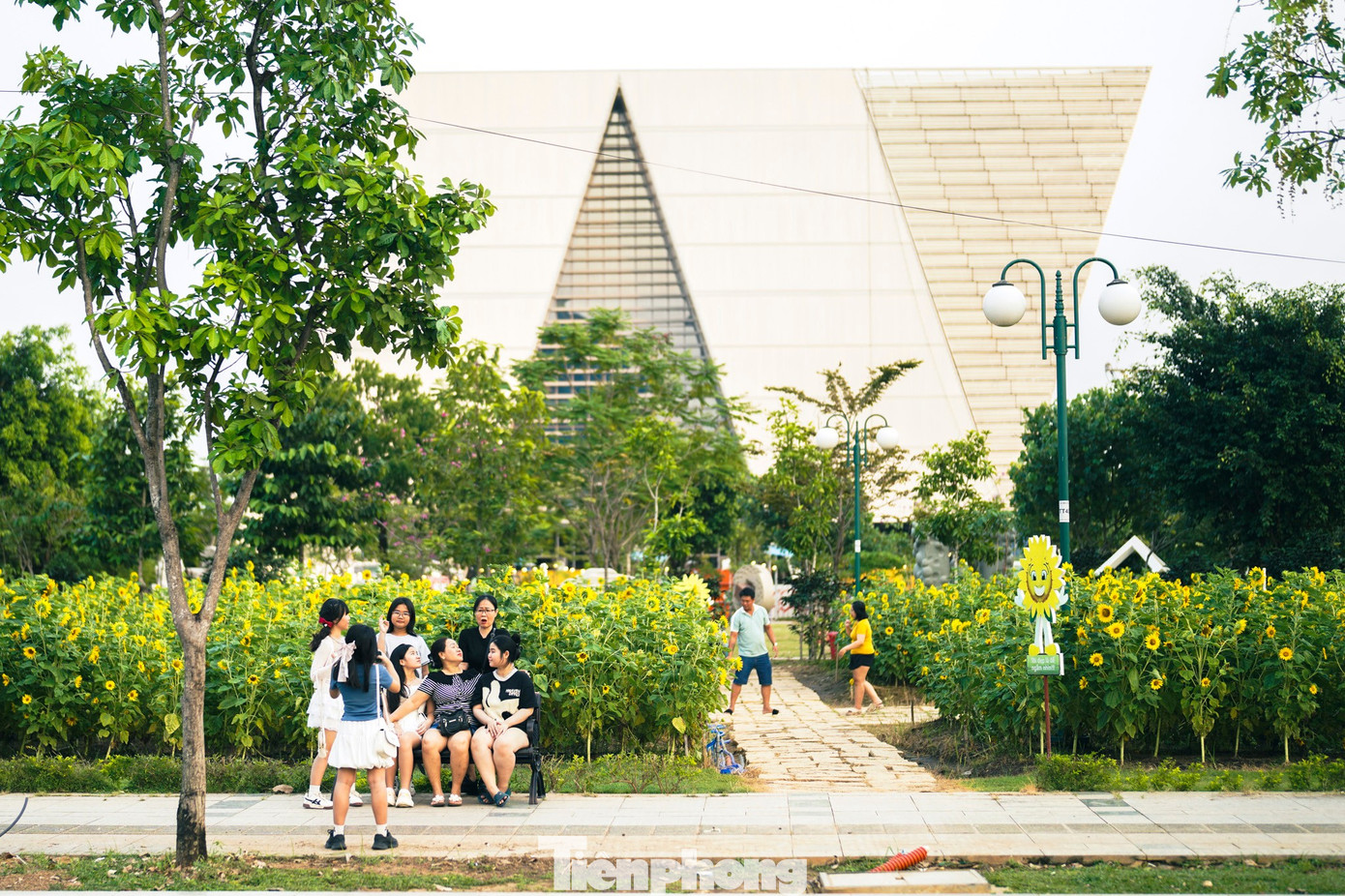 Mãn nhãn vườn hướng dương nghìn bông khoe sắc bên bờ sông Sài Gòn- Ảnh 18.