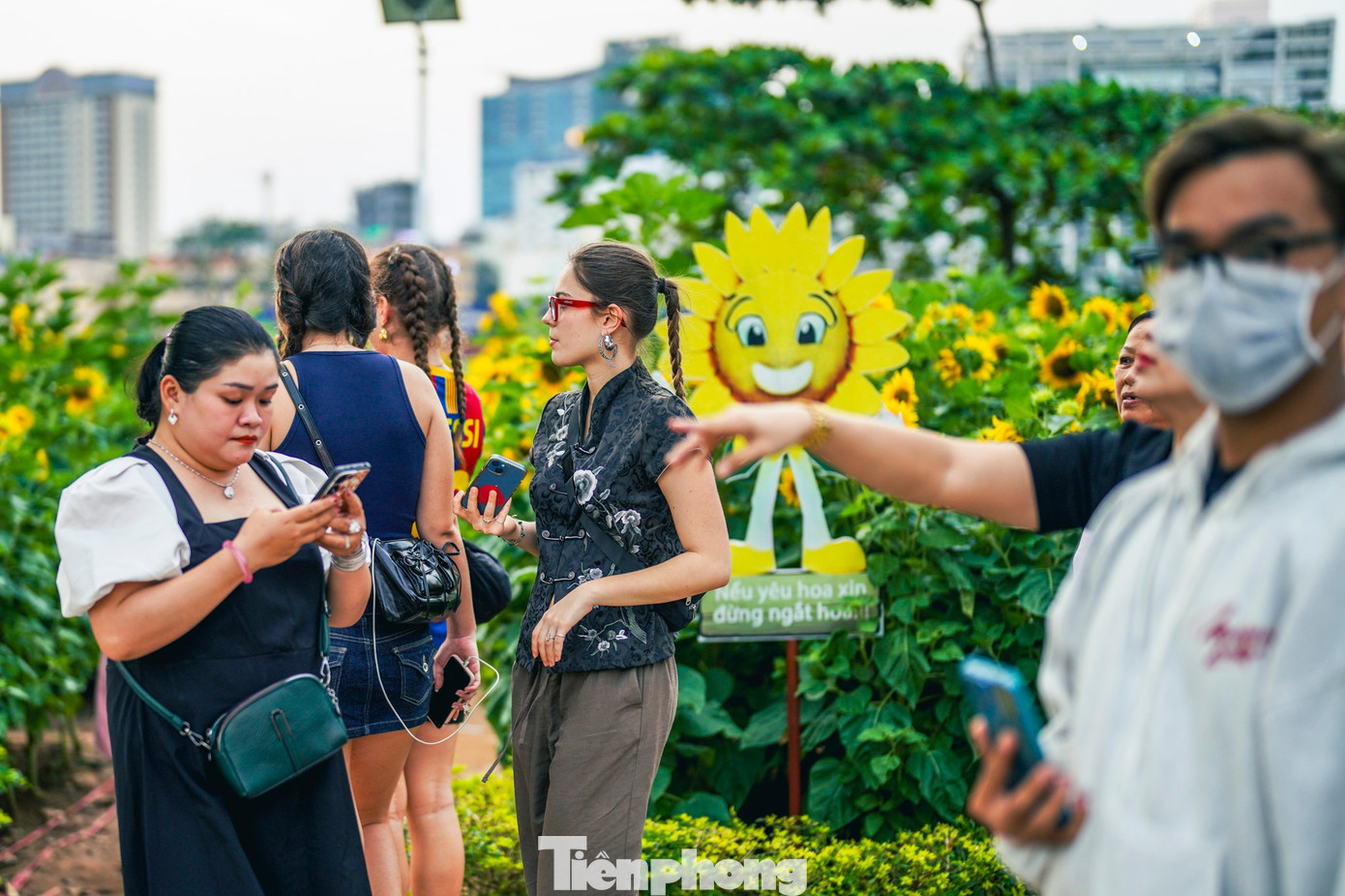 Mãn nhãn vườn hướng dương nghìn bông khoe sắc bên bờ sông Sài Gòn- Ảnh 23.