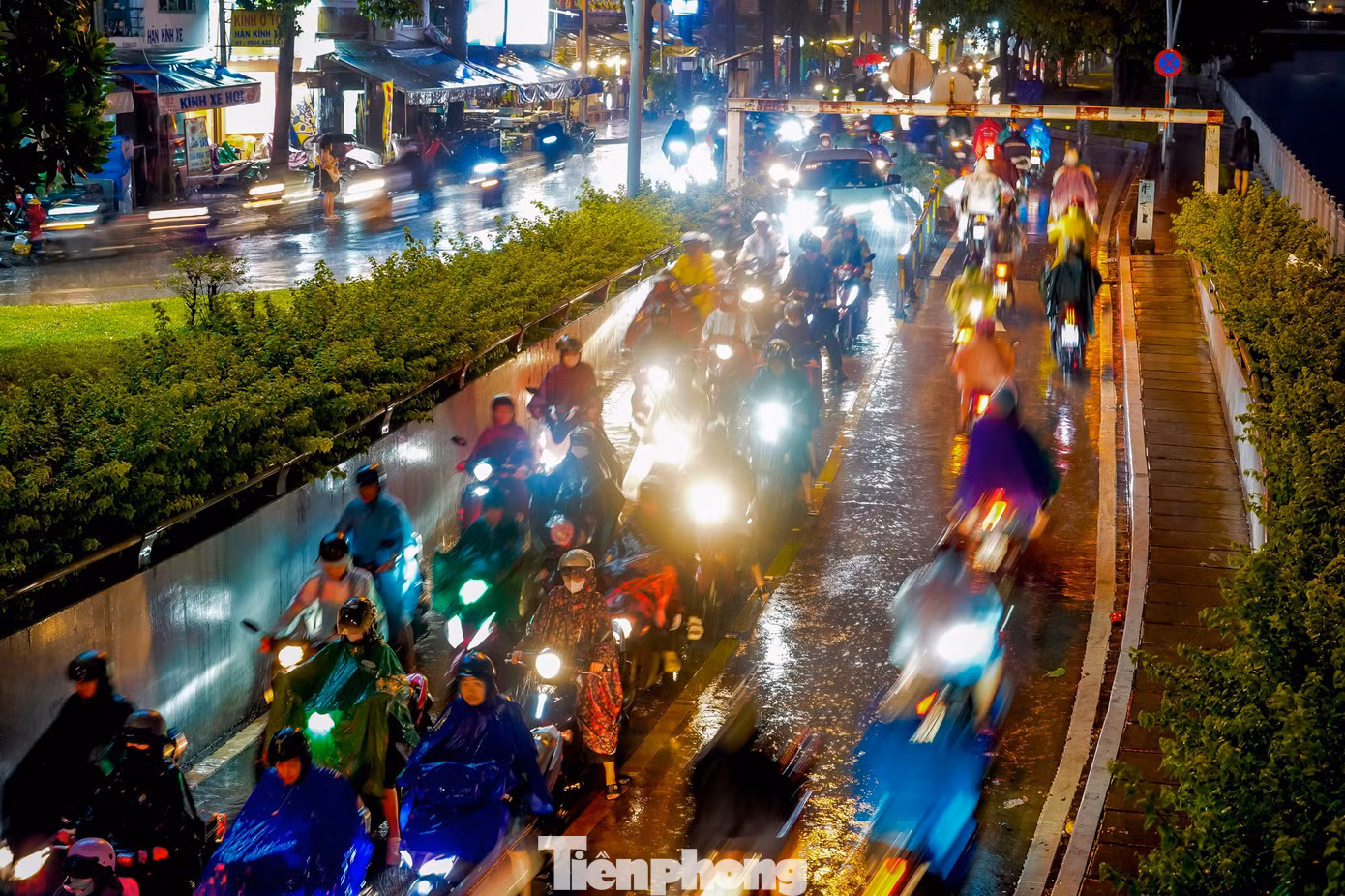 tp-ld-1-169.jpg