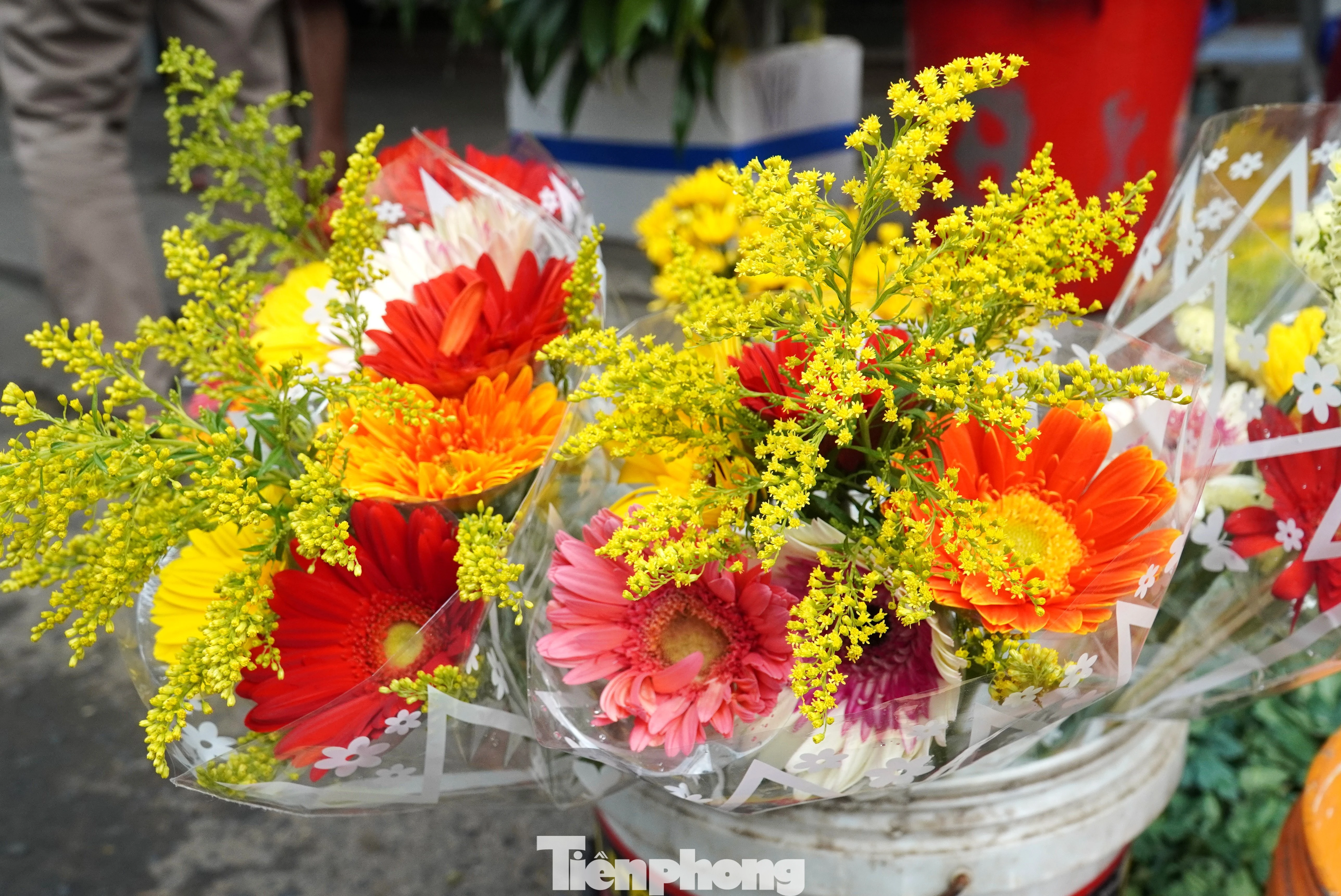 Hoa Đồng Tiền 'Cháy Hàng' Tại Chợ Đống Đa Đà Nẵng Trong Ngày Vía Thần Tài