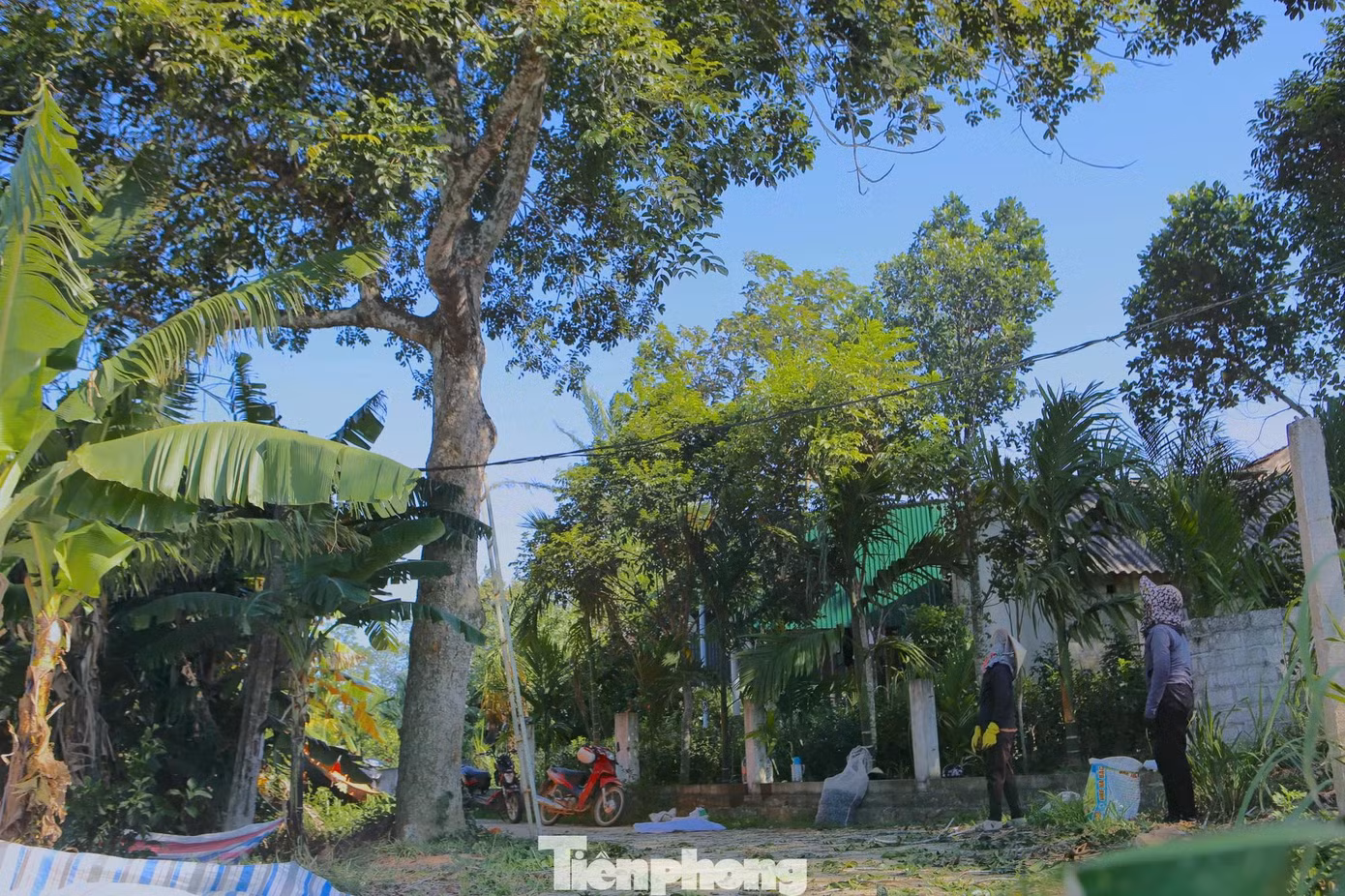 4882.jpg