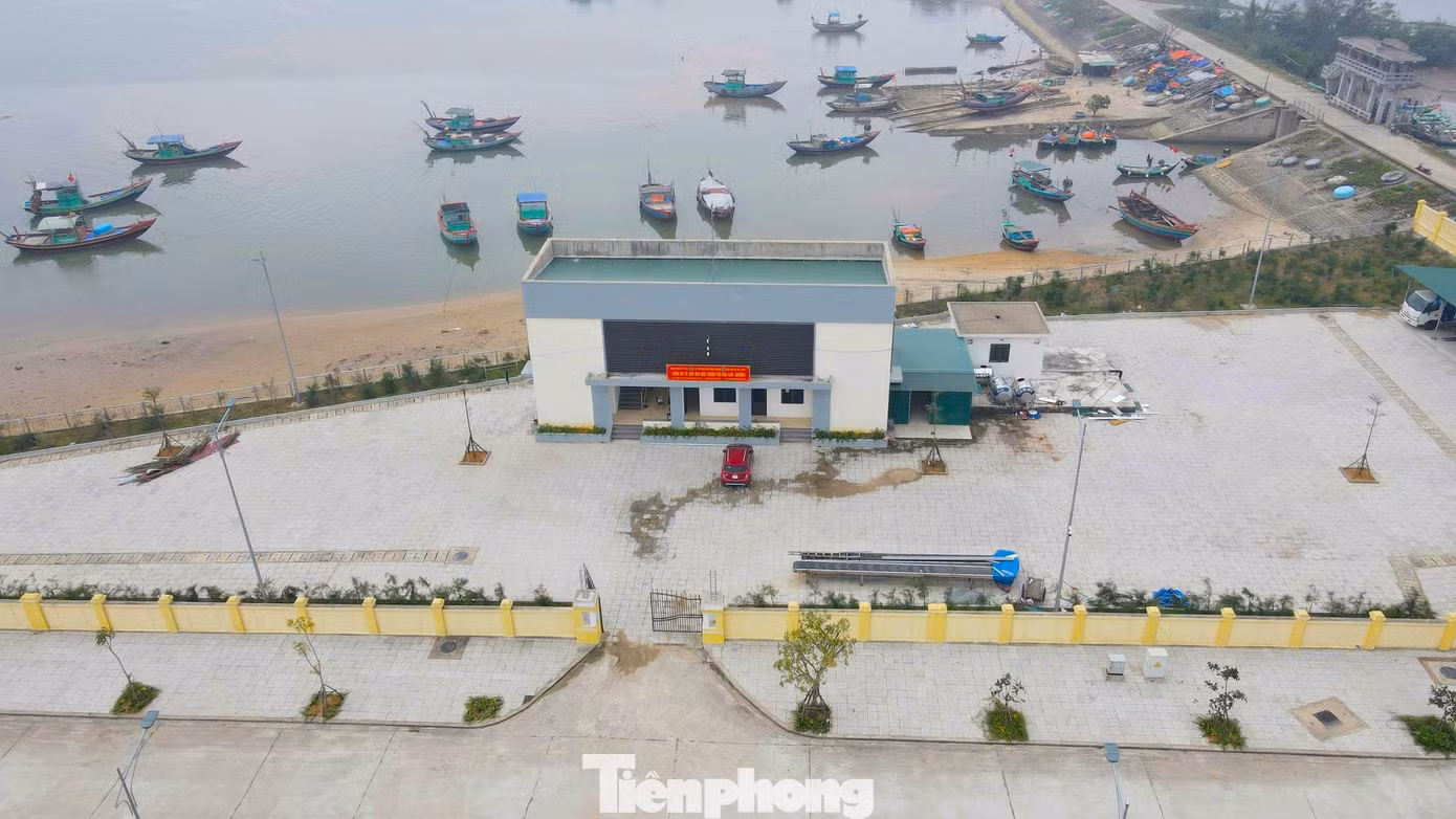 tp-cang-1.jpg