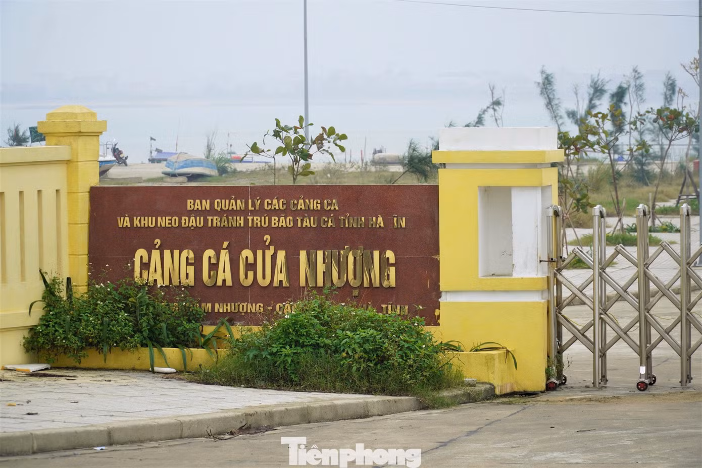 tp-cang-12.jpg