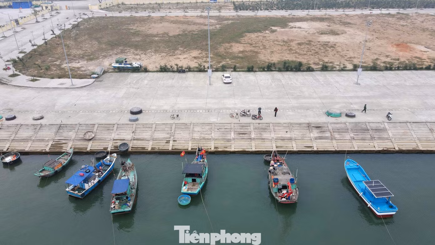 tp-cang-2.jpg