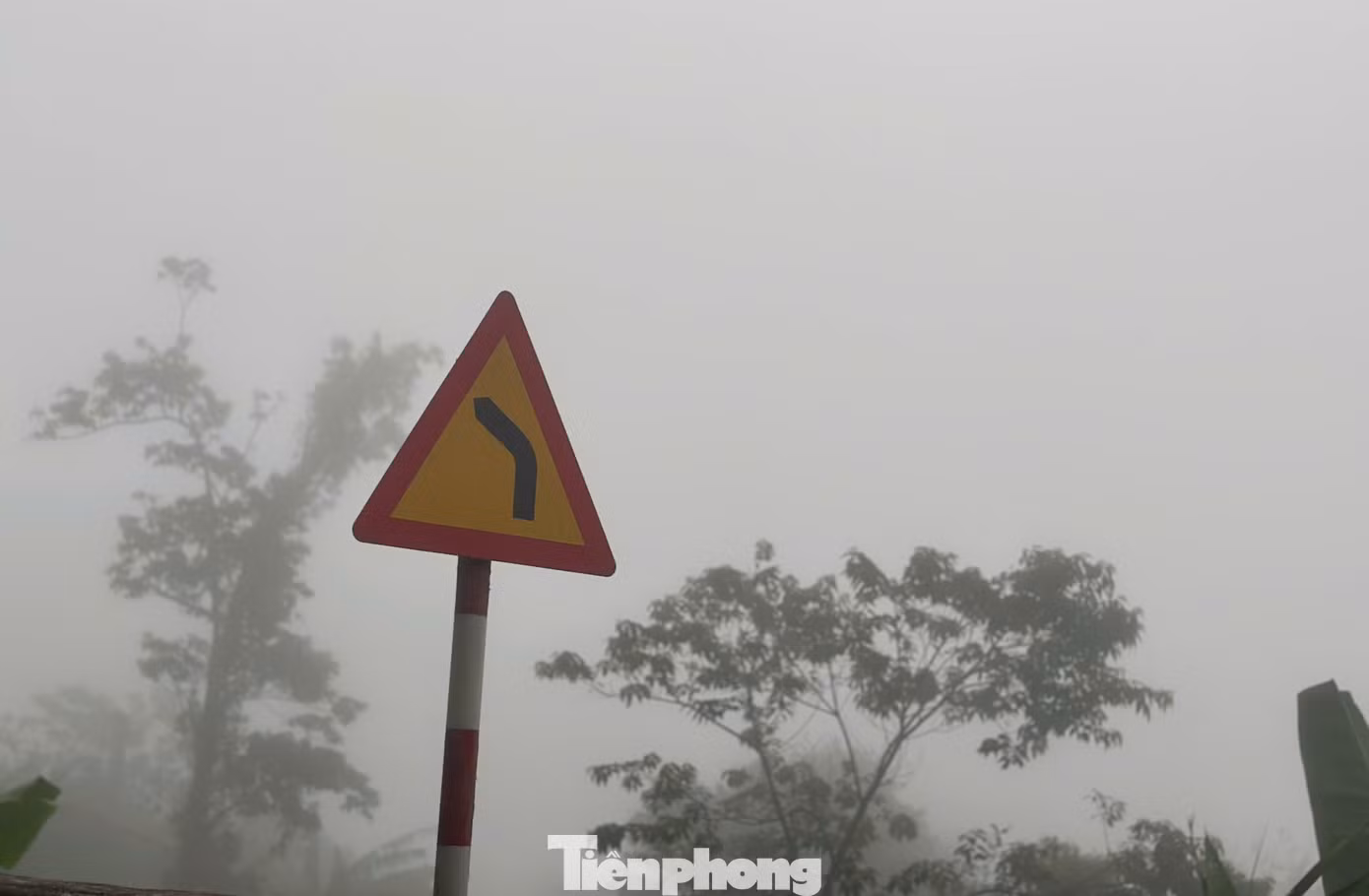tp-anh-mu-12.jpg
