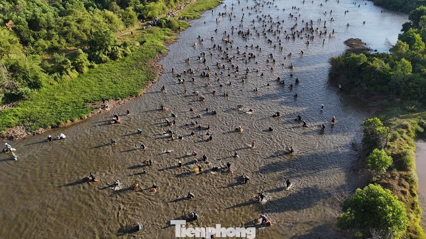 tp-uhhssk.jpg