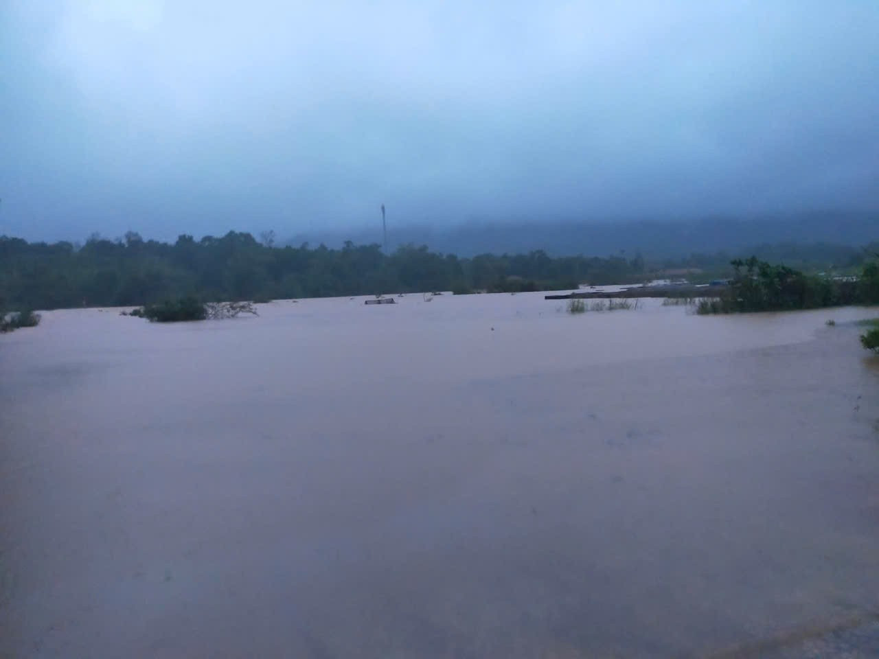 539577836-2923149647895932-4923844139479797155-n.jpg
