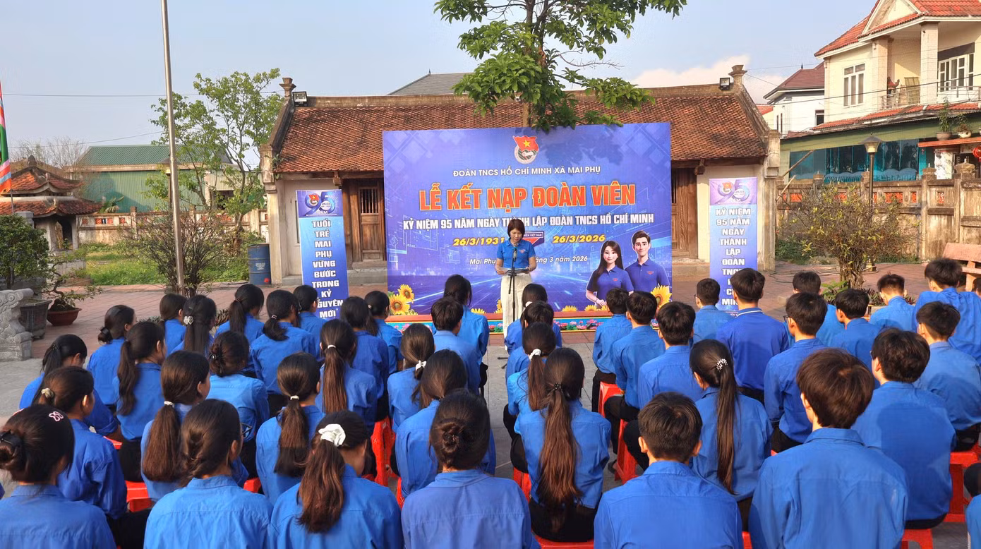 1606825555518638034.jpg