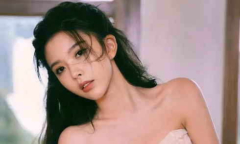 Công bố hai diễn viên trốn thuế