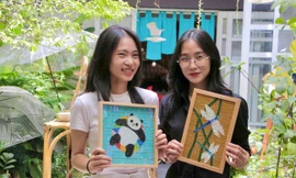 Giới trẻ Khánh Hòa mê mẩn ghép tranh mosaic