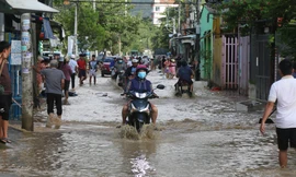 Nước sông Cái dâng cao, người dân Khánh Hòa chống chọi đợt ngập mới