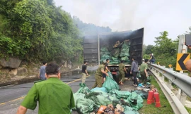 Container bốc cháy trên quốc lộ 1, tài xế hoảng hốt tấp vào lề cầu cứu