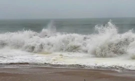 Bão sắp ập tới, du khách vẫn nhảy múa lướt sóng biển Nha Trang 