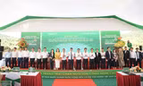 BAF triển khai trang trại chăn nuôi lợn công nghệ cao 2.000 tỷ đồng tại Quảng Trị