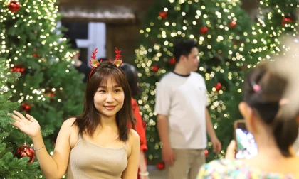 Bạn trẻ rạng rỡ check-in với hàng thông Noel lung linh, huyền ảo