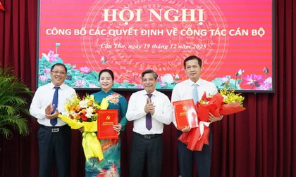 Điều động, bổ nhiệm nhân sự ở 5 tỉnh, thành 