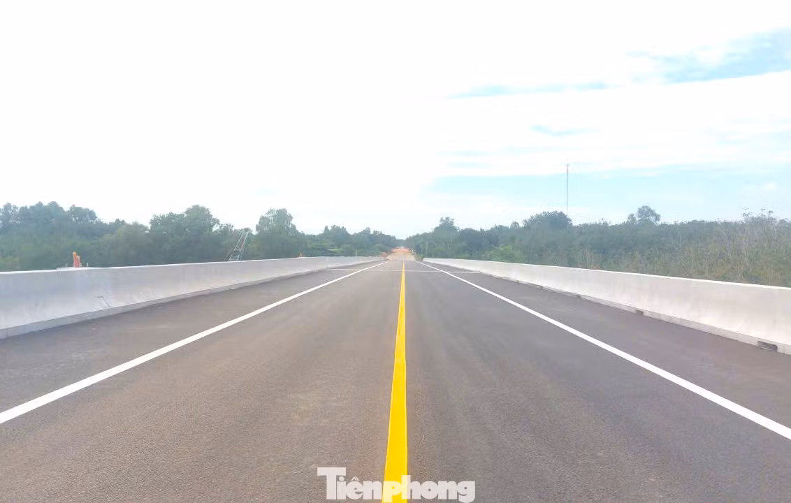 tp-cau-12.jpg