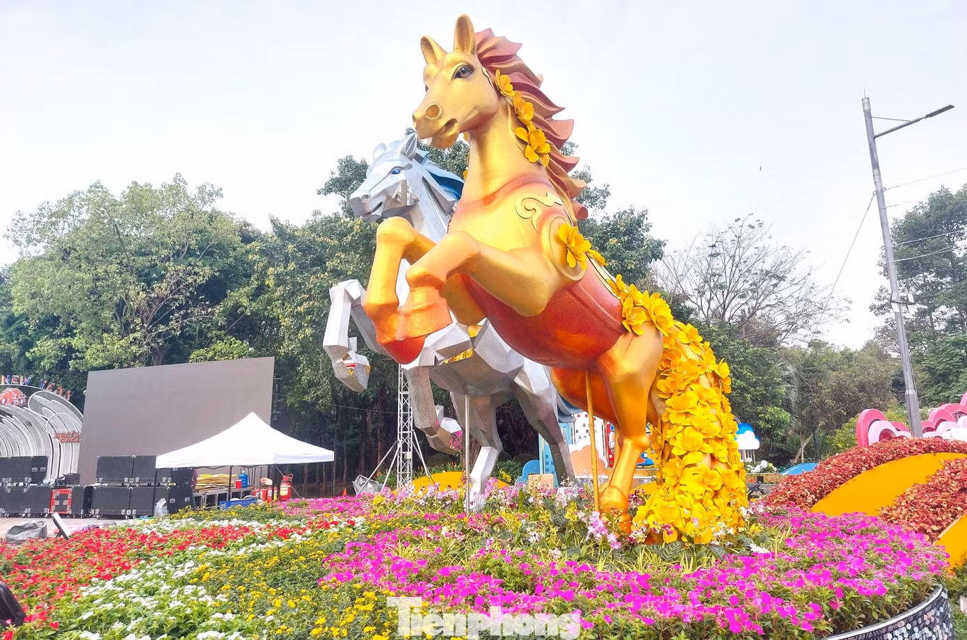 tp-duong-hoa-9.jpg