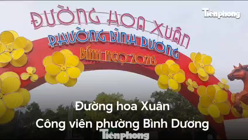 tp-duong-hoa.jpg