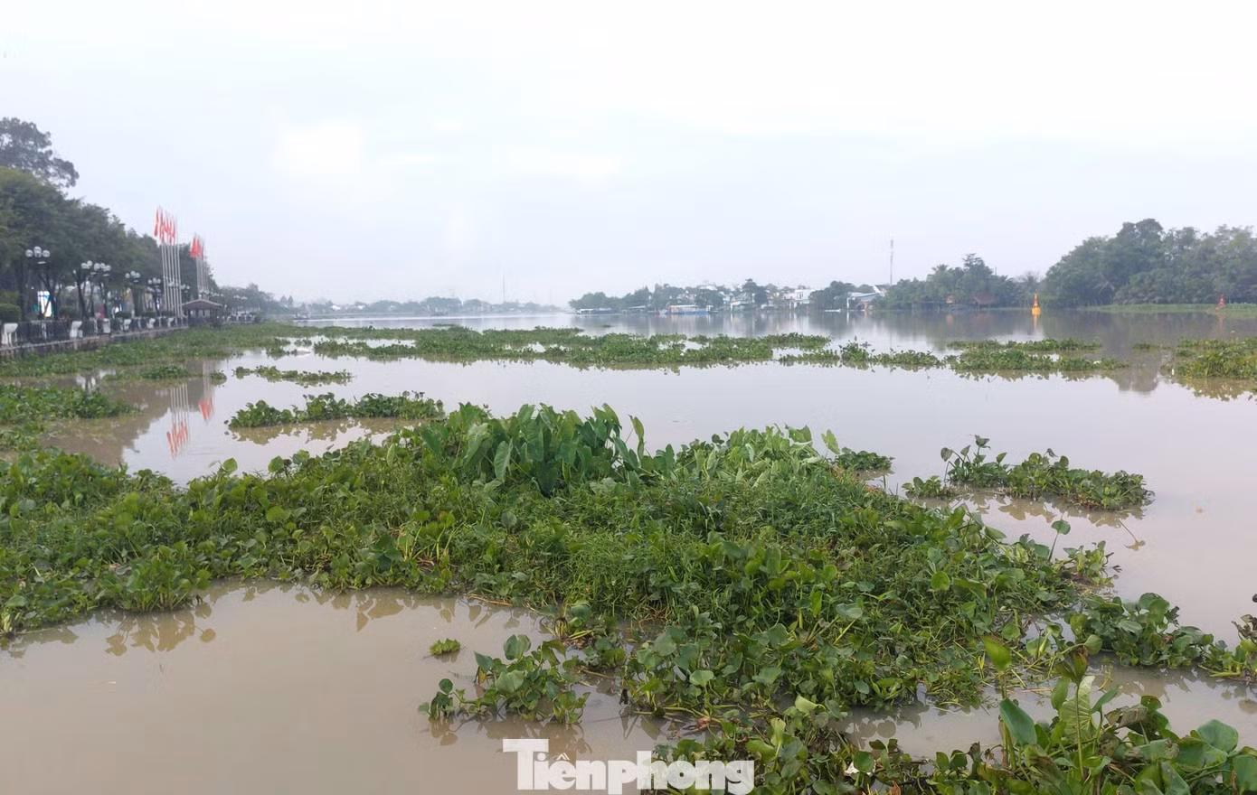 tp-trieu-cuong-2.jpg