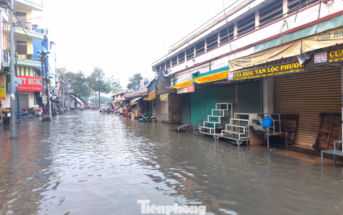 tp-trieu-cuong.jpg