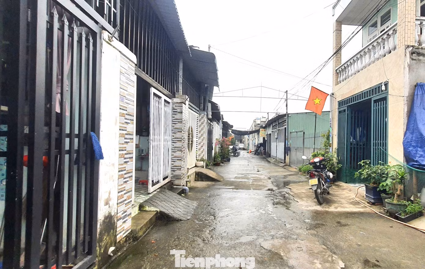 tp-xay-nham-2.jpg