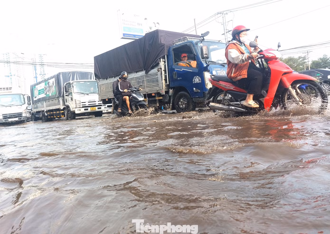 tp-trieu-cuong-7.jpg