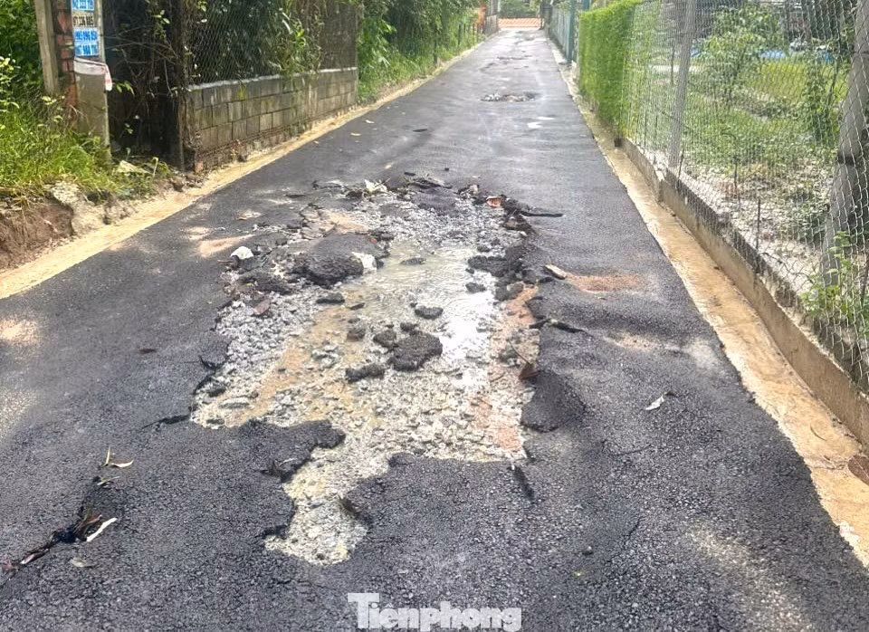 tp-duong.jpg