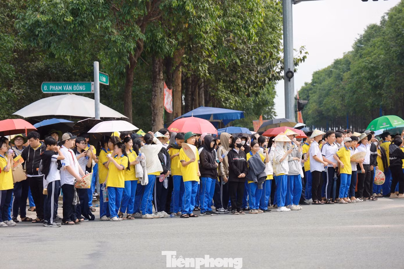 tp-ruoc-kieu.jpg