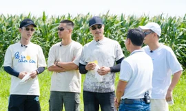 Bố Ơi! Mình Đi Đâu Thế? tập 10: Neko Lê trổ tài phiên dịch, giải mã ngôn ngữ