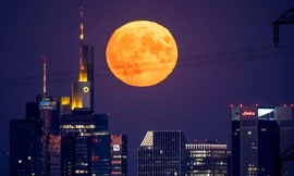 Các chòm sao lọt "Top Trending" trên con đường sự nghiệp trong tháng 11